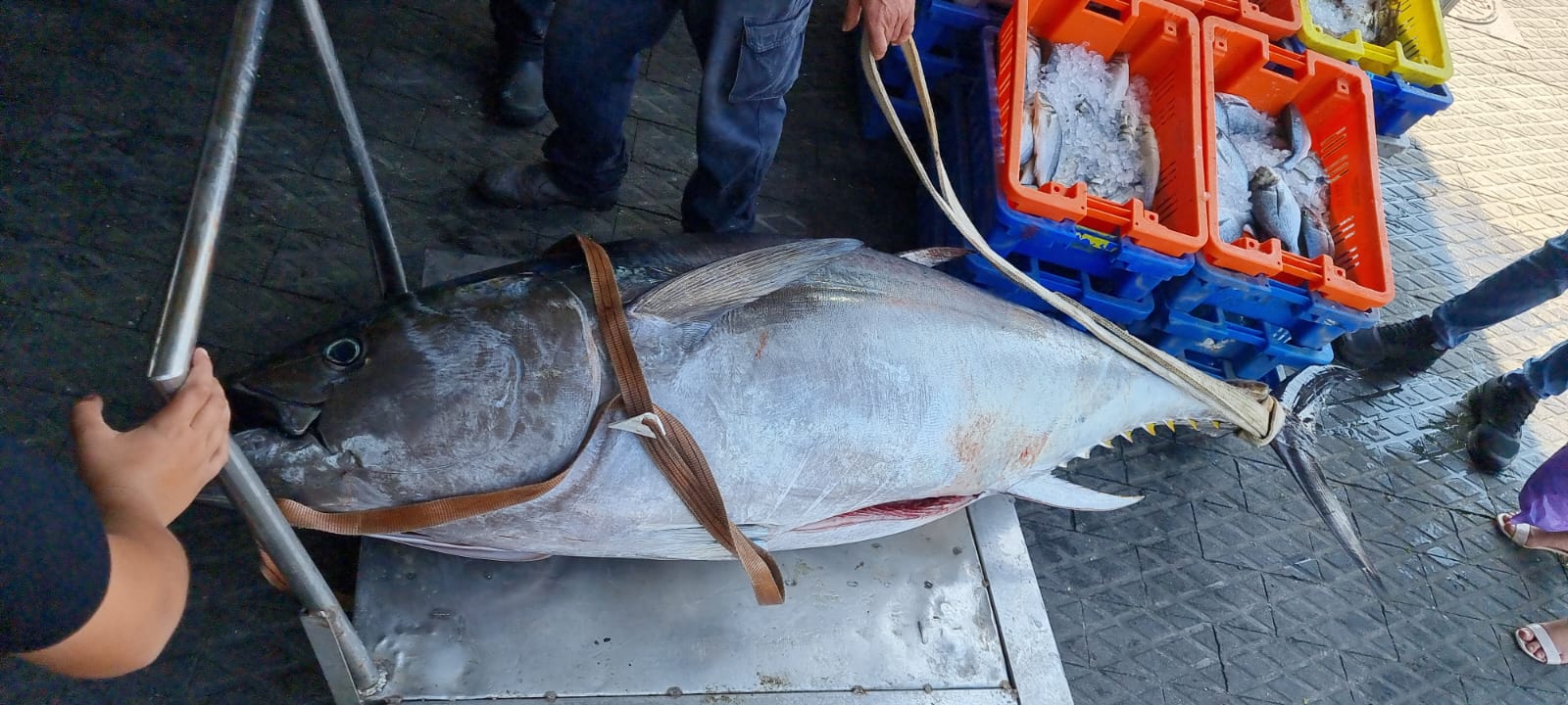 WhatsApp Image 2022-05-25 at 4.39.06 PM (1).jpeg